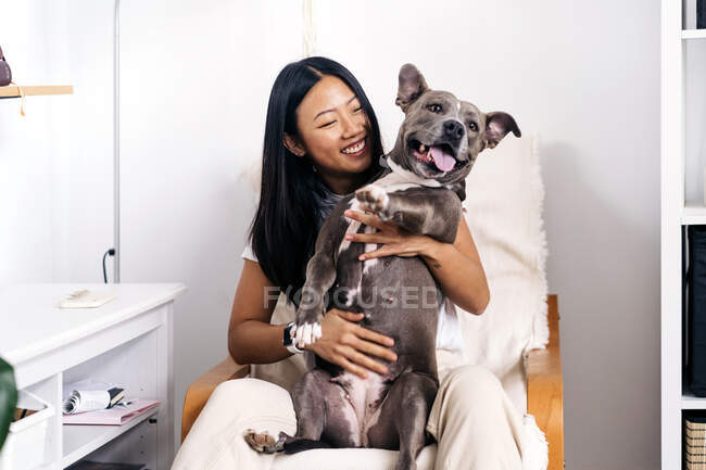 Contenuto femminile etnica che abbraccia American Staffordshire Terrier con la lingua fuori mentre seduto in poltrona nella stanza della casa — Foto stock