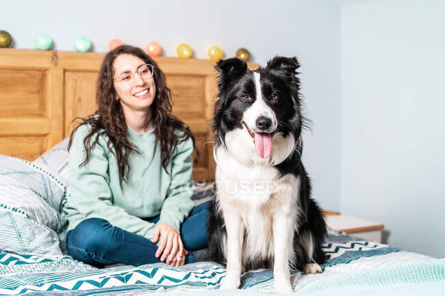 Junge Frau mit Brille sitzt mit Border-Collie-Hund im Bett — Stockfoto