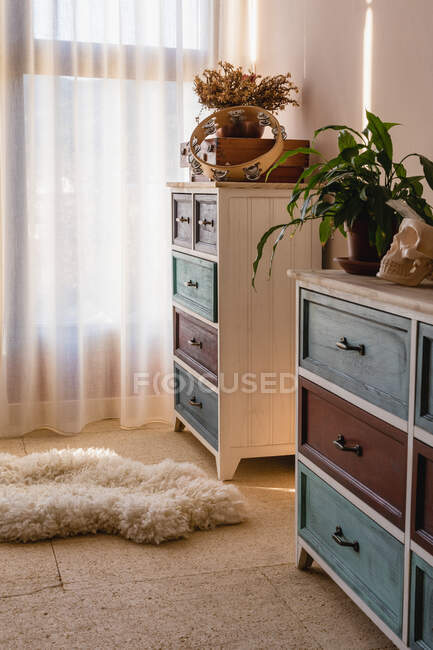 Plantas en maceta y calavera decorativa en la cómoda contra cortina y alfombra esponjosa en la casa - foto de stock