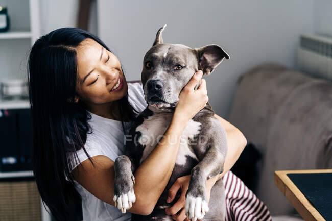Conteúdo feminino étnico abraçando American Staffordshire Terrier sentado em poltrona no quarto da casa — Fotografia de Stock