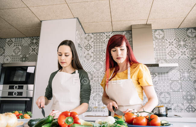 Гомосексуальные подружки режут огурцы во время приготовления здоровой вегетарианской пищи за столом в доме — стоковое фото