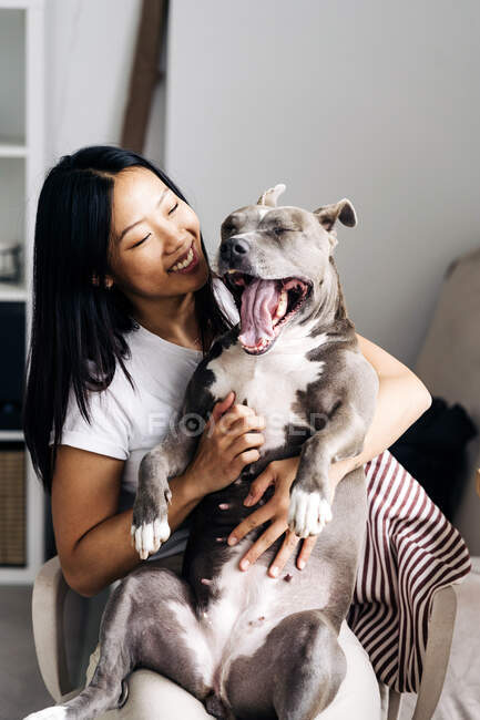 Contenido étnico femenino abrazando American Staffordshire Terrier con la lengua hacia fuera mientras se sienta en el sillón en la habitación de la casa - foto de stock