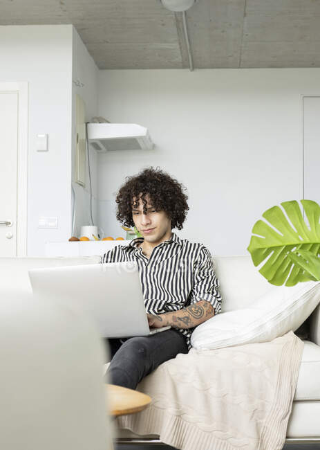 Joven hipster masculino con pelo rizado navegar por Internet en netbook mientras descansa en el sofá en la habitación de la casa - foto de stock