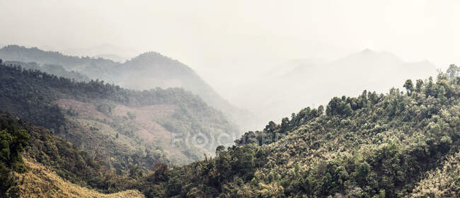 Majestic view of woods with green trees in mountains on foggy day in Laos — Stock Photo