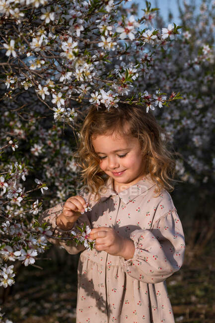 Очаровательный улыбающийся маленький ребенок в платье стоит рядом с цветущим деревом с цветами в весеннем парке и смотрит вниз — стоковое фото