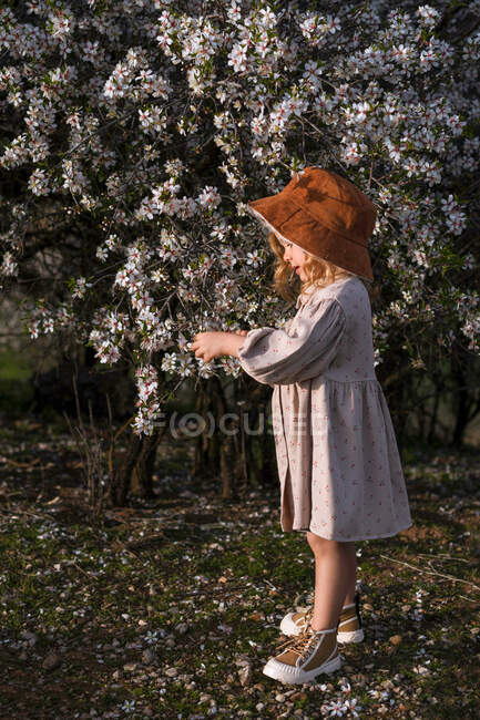 Очаровательный улыбающийся маленький ребенок в платье стоит рядом с цветущим деревом с цветами в весеннем парке и смотрит вниз — стоковое фото