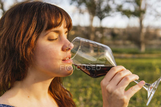 Вид збоку на безтурботну жінку, яка п'є червоне вино зі скла під час пікніка в парку навесні на заході сонця — стокове фото