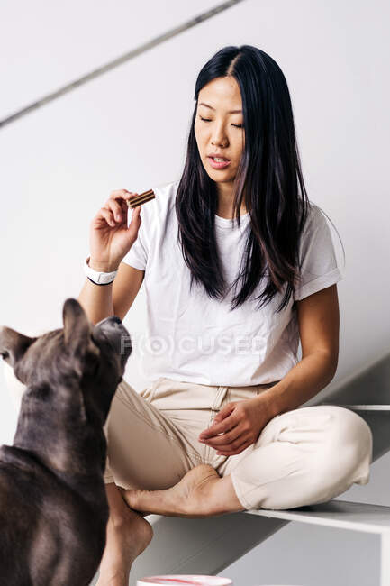 Donna etnica con trattamento insegnamento American Staffordshire Terrier mentre seduti sulle scale e guardarsi in casa — Foto stock