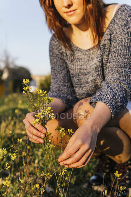 Неузнаваемая урожая женщина сидит с кучкой нежных желтых полевых цветов на цветущем лугу весной на закате — стоковое фото