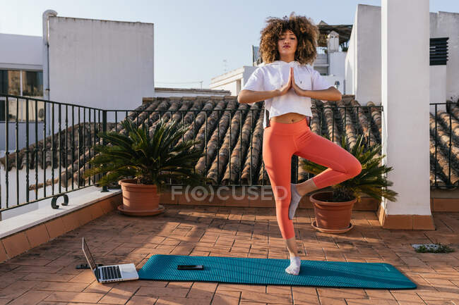 Низький кут спокійної афро-американської жінки в спорті стоїть на одній нозі і з закритими очима, практикуючи йогу на дереві пози на даху в сонячний день. — стокове фото