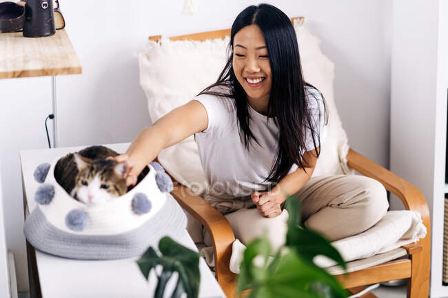 Sorrindo fêmea étnica sentada com pernas cruzadas em poltrona e acariciando gato encantador no quarto da casa — Fotografia de Stock