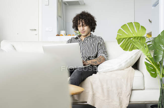 Young hipster male with curly hair browsing internet on netbook while resting on couch in house room — Stock Photo