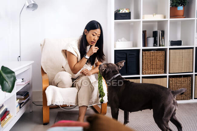 Hembra étnica mostrando gesto de silencio mientras interactúa con perro de raza pura y se sienta en el sillón en casa - foto de stock