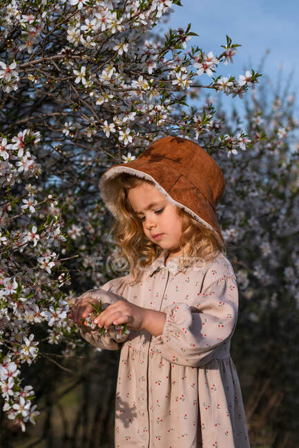 Adorable little girl in dress and hat standing near tree with blossoming flowers and looking down in spring garden — Stock Photo