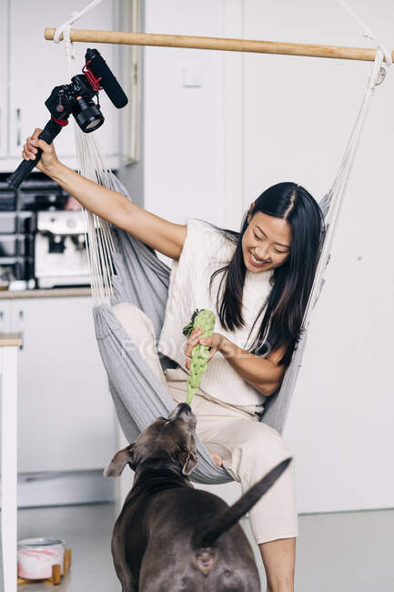Content ethnic female blogger playing with American Staffordshire Terrier while sitting in hammock recording video on photo camera at home — Stock Photo
