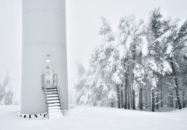 Parte del molino de viento con entrada situada en bosques en invierno con árboles cubiertos de nieve - foto de stock