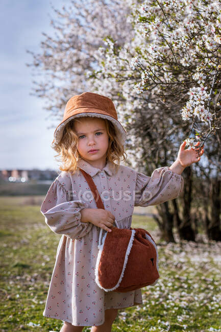 Adorable niña en vestido y sombrero de pie cerca del árbol con flores en flor y mirando a la cámara en el jardín de primavera - foto de stock