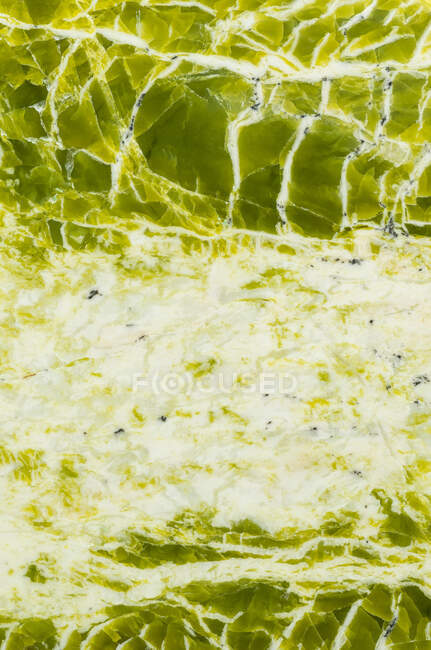 Textura de roca metamórfica formada por el grupo serpentino de minerales; Estado de Washington - foto de stock
