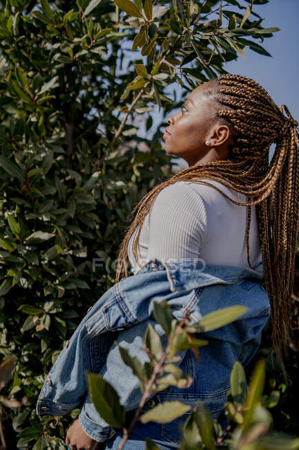 Seitenansicht einer Afroamerikanerin im trendigen Jeans-Outfit, die im Sommer im grünen Garten steht und wegschaut — Stockfoto
