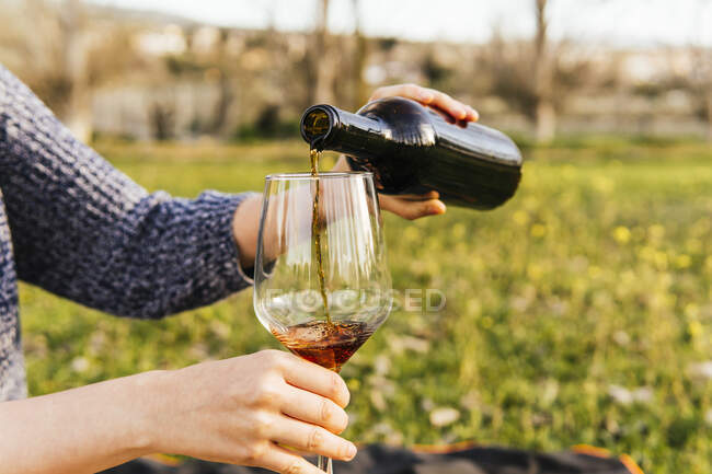Cosecha anónima hembra vertiendo vino en vino mientras disfruta de un picnic en el exuberante prado en primavera - foto de stock