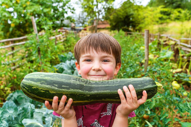 Enfant sincère avec de grandes courgettes regardant la caméra tout en se tenant entre la culture de légumes à la campagne le jour de l'été — Photo de stock