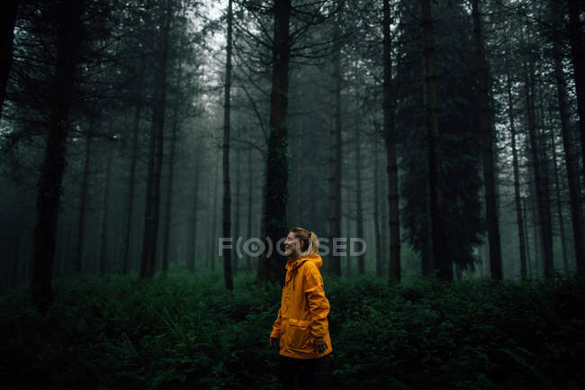 Щасливий турист у верхньому одязі, що йде по стежці серед рослин і високих дерев у лісі — стокове фото