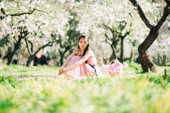Mujer asiática pacífica en vestido rosa sentado en cuadros con flores en flor en la cesta de mimbre en el exuberante jardín y mirando a la cámara - foto de stock