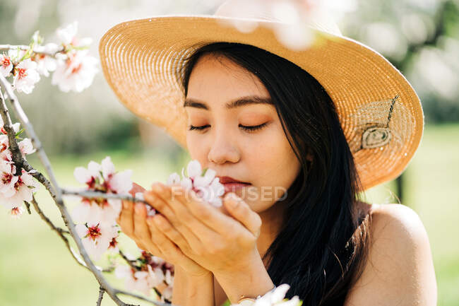 Ethnic female in straw hat smelling flowers of blooming cherry tree branches growing in garden — Stock Photo