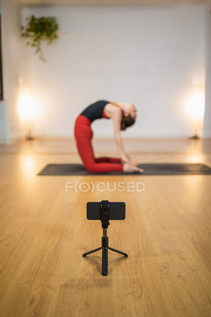Vista lateral de ángulo alto de flexión femenina delgada en Ustrasana y grabación de vídeo en vivo en smartphone durante el entrenamiento de yoga - foto de stock