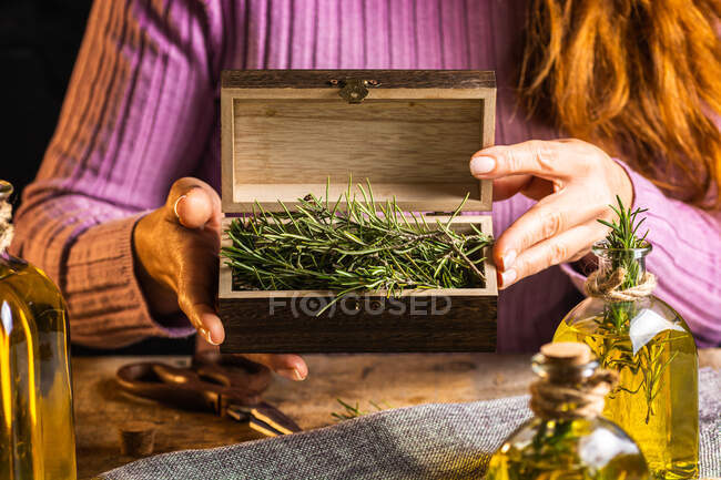 Неузнаваемая самка демонстрирует небольшой деревянный сундук, заполненный травяными веточками с зелеными листьями рядом с эфирными стеклянными бутылками с маслом на ткани возле ножниц за столом — стоковое фото