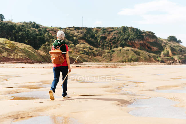 Back view of anonymous aged female backpacker with trekking pole strolling on sandy shore with puddles against green mount — Stock Photo