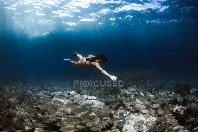 Side view full body of female traveler wearing diving mask swimming underwater near school of fish and sandy bottom — Stock Photo