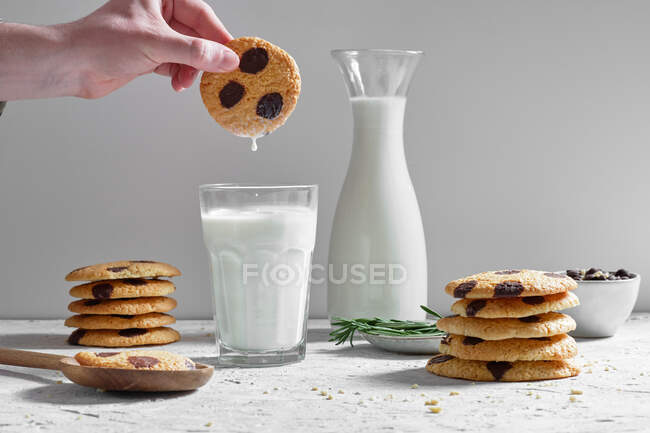 Crop anonymous person dipping delicious sweet homemade cookies with chocolate chips into glass of fresh milk — Stock Photo