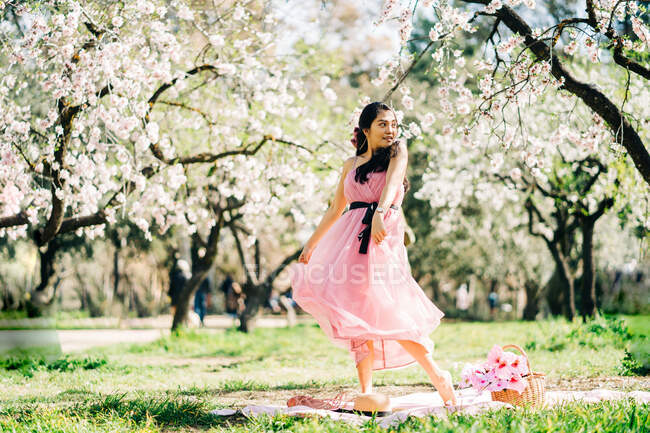 Cuerpo completo de joven hembra asiática en vestido elegante girando mientras está de pie sobre cuadros en el jardín con cerezos en flor - foto de stock