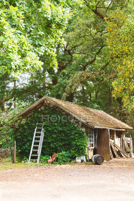 Seitenansicht eines Hauses inmitten des grünen Waldes neben Gartengeräten — Stockfoto