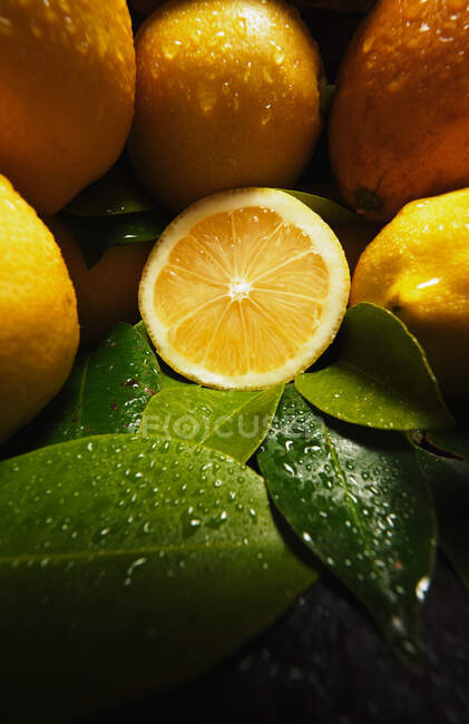 Appetizing fresh ripe juicy oranges and lemon with drops of water and green leaves — Stock Photo