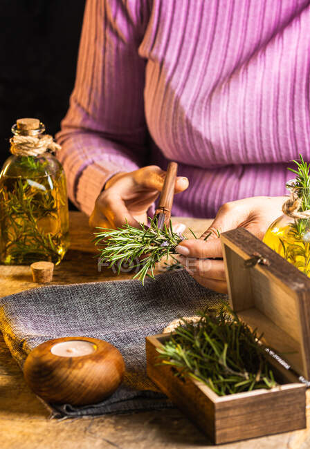 Crop lady taglio rametti di rosmarino con forbici a tavola con tessuto e corda vicino bottiglie di vetro olio essenziale e piccolo petto — Foto stock