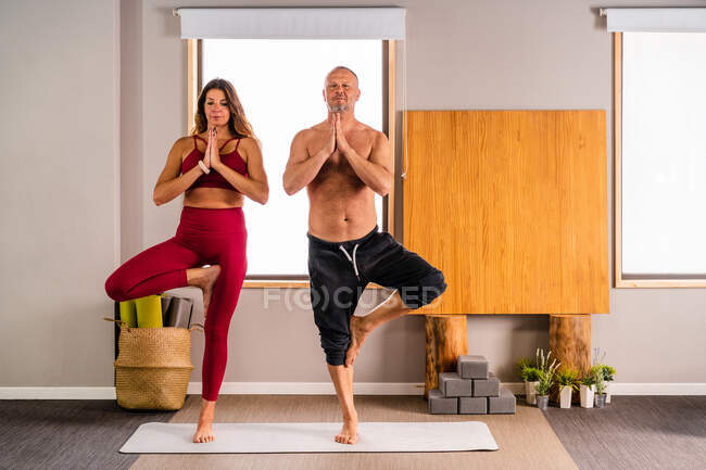 Ganzkörper konzentriertes Paar in Sportbekleidung, das Vrikshasana posiert, während es Yoga im Studio mit hellem Interieur praktiziert — Stockfoto