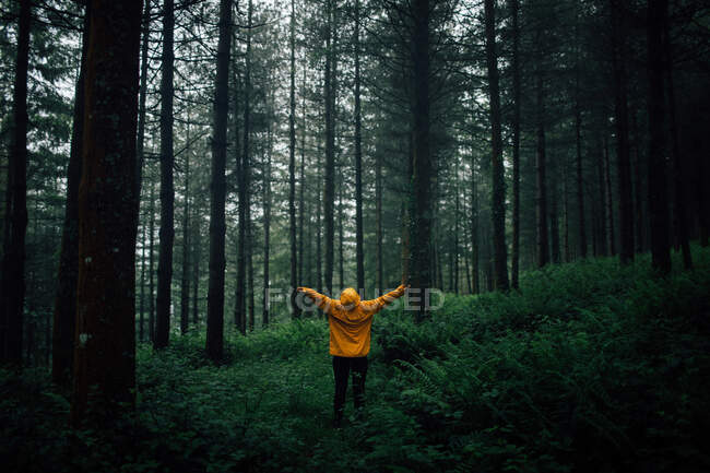 Unrecognizable tourist in outerwear with hood standing on pathway among plants and high trees in forest — Stock Photo