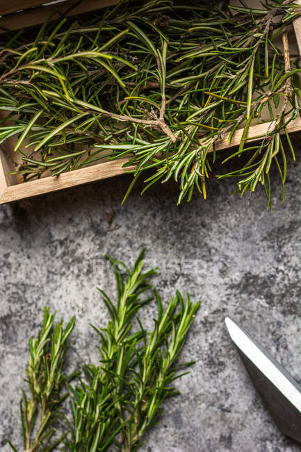 Сверху трав веточки с зелеными листьями в небольшой деревянный сундук возле ножниц на серой поверхности — стоковое фото