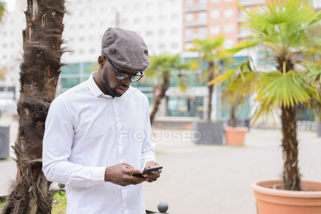 Trendy African American male standing on street with palm trees and messaging on social media via mobile phone — Stock Photo