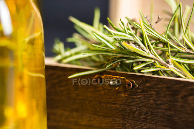 Ramas de romero con hojas verdes colocadas en un pequeño cofre de madera cerca de una botella de vidrio con aceite en la superficie en un lugar claro - foto de stock