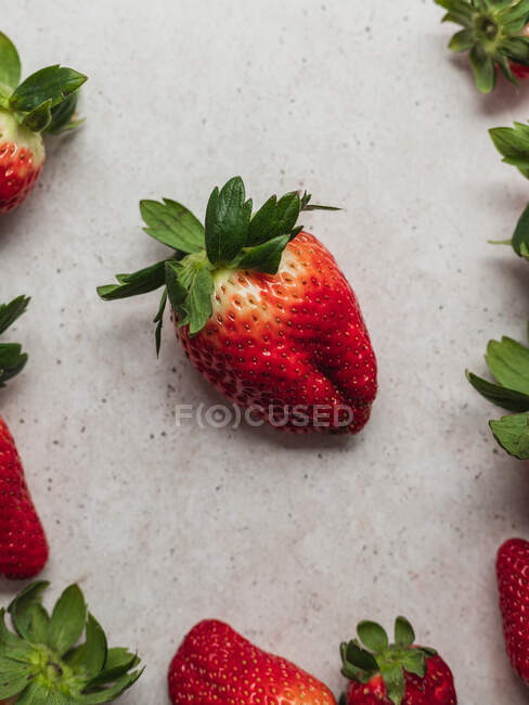 Blick von oben auf die Ernte von Haufen frischer Erdbeeren, die auf dem Tisch in der Küche serviert werden — Stockfoto