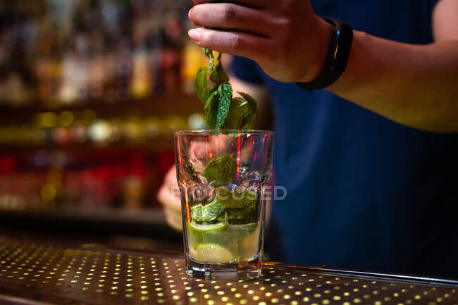 Unrecognizable bartender adding some mint leaves to the glass while preparing mojito cocktail in the bar — Stock Photo