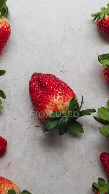 Top view of harvest of pile of fresh strawberries served on table in kitchen — Stock Photo