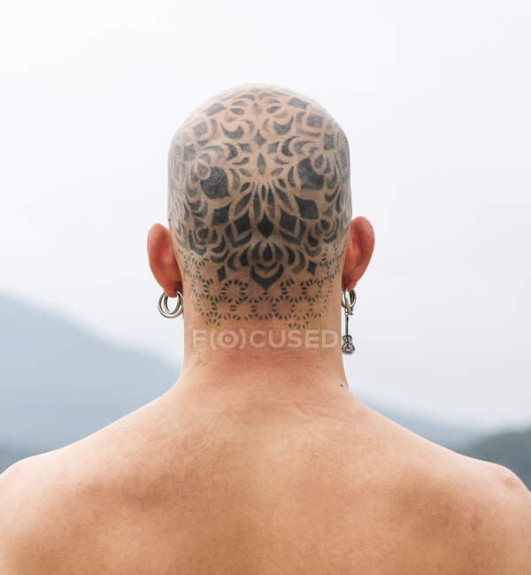 Vista posteriore di un uomo tranquillo con la testa calva tatuata in piedi nella natura contro il fiume e la montagna in una giornata nuvolosa — Foto stock