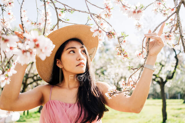 Donna etnica pacifica in cappello di paglia e vestito in piedi sotto i fiori profumati in fiore sui rami degli alberi nel frutteto guardando altrove — Foto stock