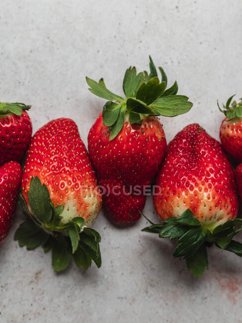 Vue de dessus de la récolte de tas de fraises fraîches servies sur la table dans la cuisine — Photo de stock