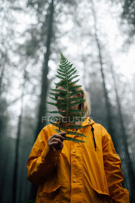 Adult female traveler with lush green plant leaf looking away during trip in woods — Stock Photo