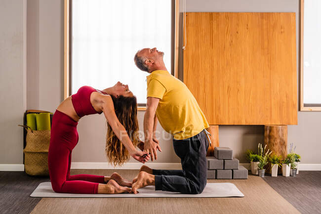 Vista lateral de pareja tranquila en ropa deportiva realizando ejercicio de Ustrasana mientras practica yoga en estudio a la luz del día - foto de stock